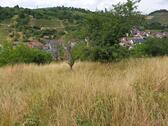 Foto - Gartengrundstück in Stuttgart- Uhlbach