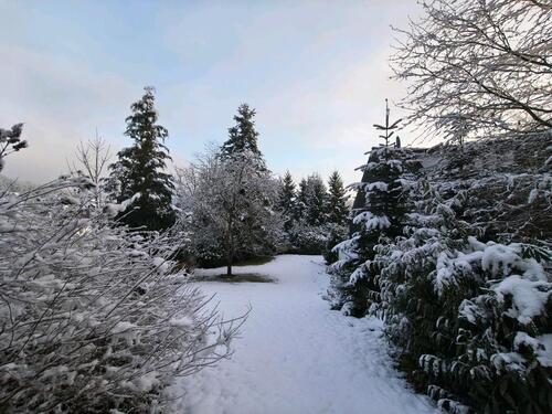 Foto - 7 Zimmer Einfamilienhaus in Morsbach