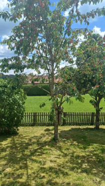 Foto - Doppelhaushälfte in Reichertsheim zur Miete