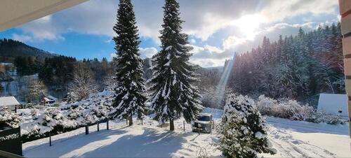 Foto - Erdgeschoßwohnung in Winterberg zur Miete