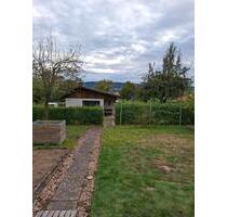 Schöner Kleingarten mit gemauerter Hütte, Wasser und Strom - Hameln Kernstadt