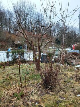 Foto - Grundst&uuml;ck zur Miete in Chemnitz
