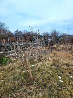 Foto - Grundst&uuml;ck in Chemnitz zur Miete