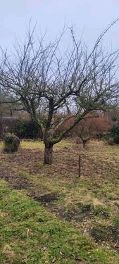 Foto - Pachtgarten Schrebergarten - 600,00&nbsp;EUR Kaltmiete, ca.&nbsp; 0,00&nbsp;m&sup2;