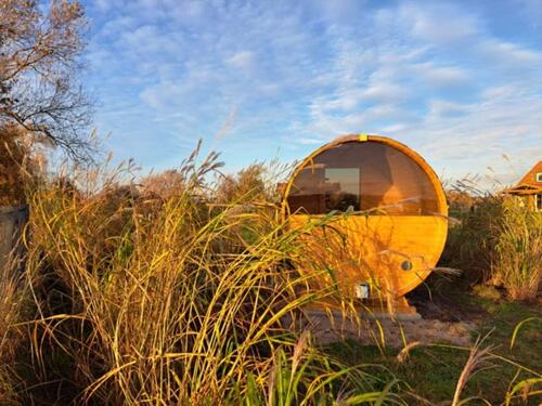 Foto - andere in Berlin