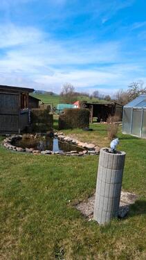 Foto - Grundst&uuml;ck in Olbersdorf zur Miete