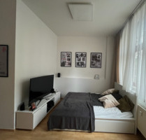 Große 1-Zimmer-Wohnung Dresden - 580,00&nbsp;EUR Kaltmiete, ca.&nbsp; 50,00&nbsp;m&sup2; in Dresden (PLZ: 01277) Blasewitz