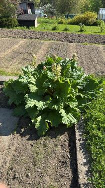 Foto - Grundst&uuml;ck in Rabenau