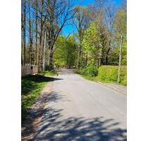 Dresden Bühlau: Top gepflegte 4-Zimmer-Wohnung