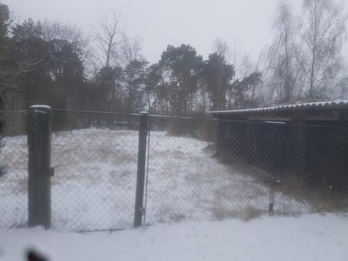 Foto - Einfamilienhaus in Zehdenick zum Kaufen