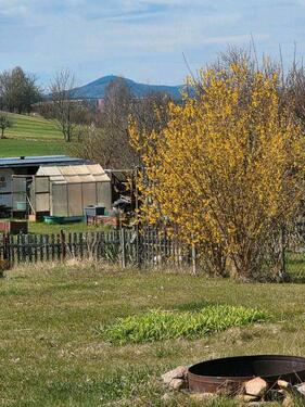 Foto - Grundst&uuml;ck zur Miete in Zittau