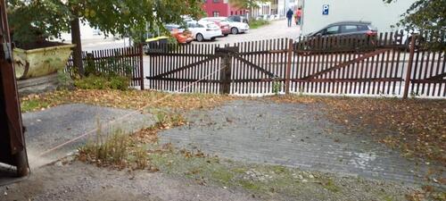 Foto - andere in Mittweida