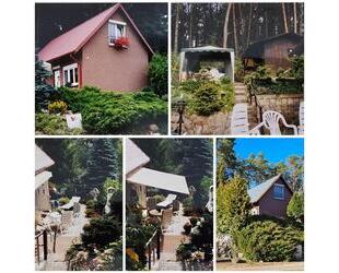 Ferienhaus Wochenendgrundstück am Parsteinsee (Uckermark) - Angermünde