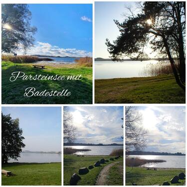 Foto - 3 Zimmer Einfamilienhaus in Angermünde