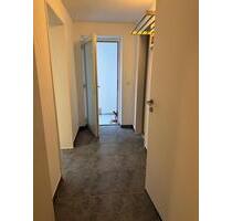 Souterrain Wohnung - 900,00 EUR Kaltmiete, in Alfter (PLZ: 53347) Souterrain Wohnung - 900,00 EUR Kaltmiete, in Alfter (PLZ: 53347)