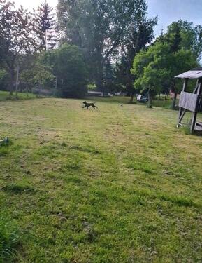 Foto - 5 Zimmer Einfamilienhaus zum Kaufen in Ohrdruf