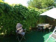 Foto - Grundst&uuml;ck in Delitzsch