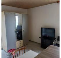 Möbliertes 1 Zi. Appartement - 1-Zimmer-Wohnung Zwiesel