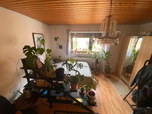 Foto - WG Zimmer Landau zentral 3er WG