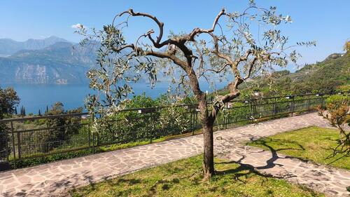 Foto - andere in München zur Miete