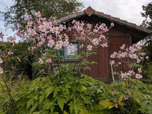 Foto - Schrebergarten Am Bausenberg in Coburg frei