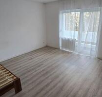 Helle 1-Zimmer-Wohnung mit Balkon - Regensburg Ganghofersiedlung