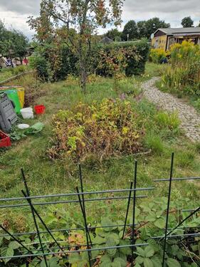 Foto - Grundst&uuml;ck in Leipzig zur Miete