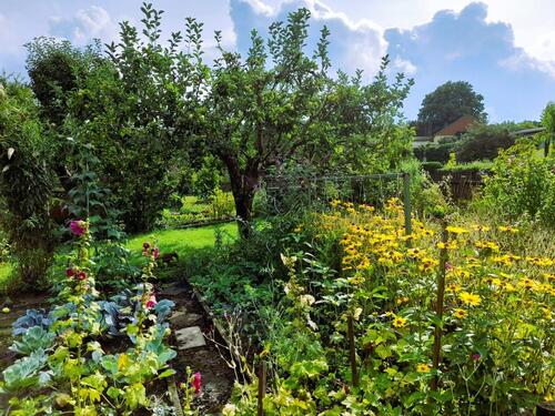Foto - Grundst&uuml;ck in Chemnitz