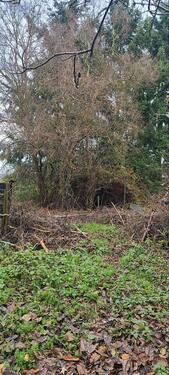 Foto - 3 Zimmer Einfamilienhaus in Perleberg