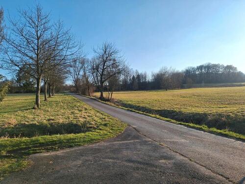 Foto - Bungalow in Traumlage am Waldrand