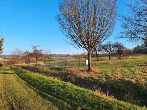 Foto - 4 Zimmer Bungalow zur Miete in Hattert