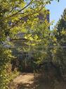 Foto - 5 Zimmer Doppelhaushälfte in Oberursel (Taunus)