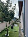 Foto - Einfamilienhaus in Kehl zum Kaufen