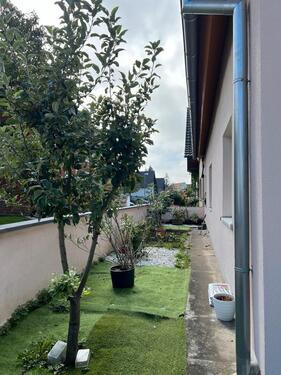 Foto - Einfamilienhaus in Kehl zum Kaufen