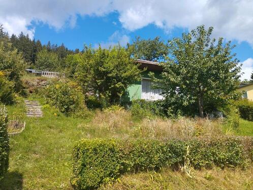 Foto - Pachtgarten mit massiver Laube in Bermsgrün, 450qm