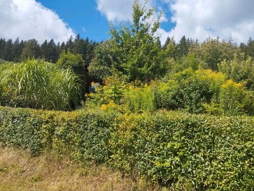 Foto - Grundst&uuml;ck in Aue-Bad Schlema