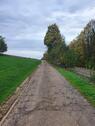 Foto - Grundstück zur Miete in Kraichtal