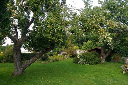 Foto - Grundst&uuml;ck zur Miete in Freiberg
