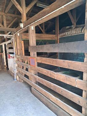 Foto - andere in Schönberg