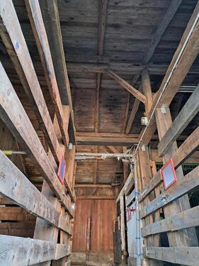 Foto - andere in Schönberg zur Miete