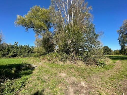 Foto - Grundst&uuml;ck in Dreieich zur Miete