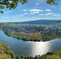 Moselblümchen Amelie - Ferienwohnung im Herzen von Piesport
