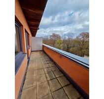 Traumblick von ihrer Dachterrasse ins Grüne für das Leben im Alter - Dresden Neustadt