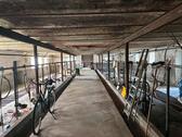 Foto - Bauernhaus, Landhaus in Schuby zum Kaufen