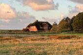 Foto - andere in Wyk Auf Föhr