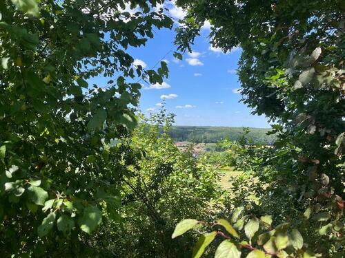 Foto - Einfamilienhaus zum Kaufen in Kümmersbruck