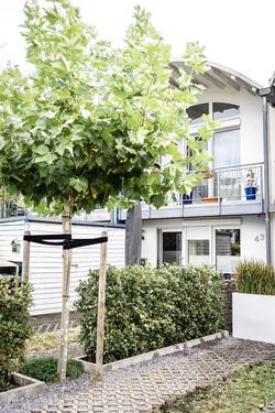 Foto - 4 Zimmer Reihenhaus zum Kaufen in Düsseldorf