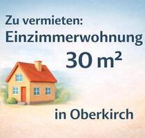 1 Zimmer Wohnung - 650,00&nbsp;EUR Kaltmiete, ca.&nbsp; 30,00&nbsp;m&sup2; in Achern (PLZ: 77855)