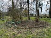 Foto - Einfamilienhaus in Ihlienworth zum Kaufen