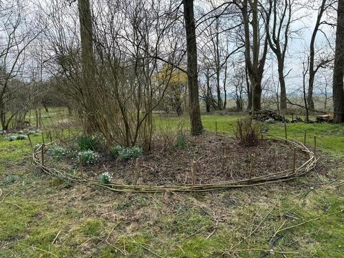 Foto - Einfamilienhaus in Ihlienworth zum Kaufen